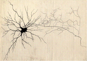 CAMILO GOLGI (1883).