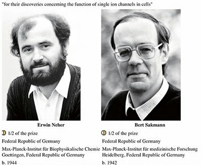 Neher y Sakmann (1991)