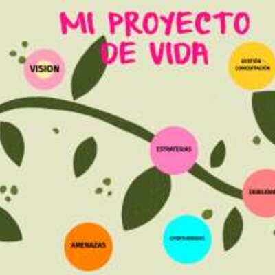 Timeline: Proyecto de vida