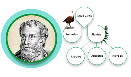 Aristoteles