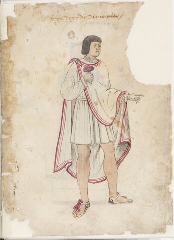 ANTROPOVISIONES DE LA AMÉRICA INDIA