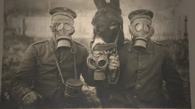 Inicia la guerra química