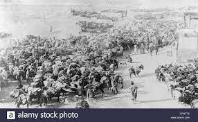 rusos abandonaron Van y se dirigieron hacia Persia