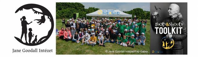 "Rügyek és gyökerek" Magyarországon is