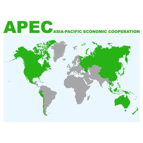 FORO DE COOPERACION ECONOMICA DEL PACIFICO (APEC)
