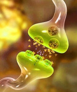 CHARLES SCOTT SHERRINGTON (1932). Médico britanico