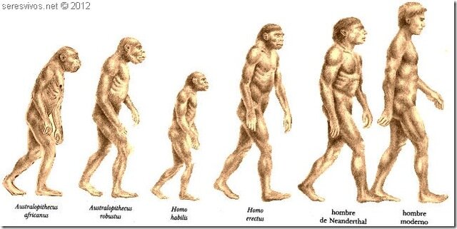 LOS HOMÍNIDOS Y DE LAS CARACTERÍSTICAS ÚNICAS DE SU CEREBRO