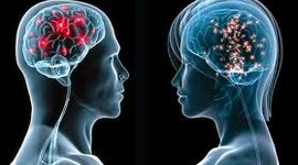 Timeline: ¿De dónde viene y para dónde va el cerebro