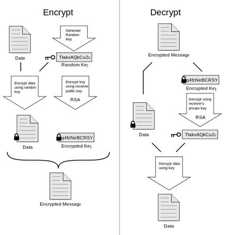 Se introduce PGP