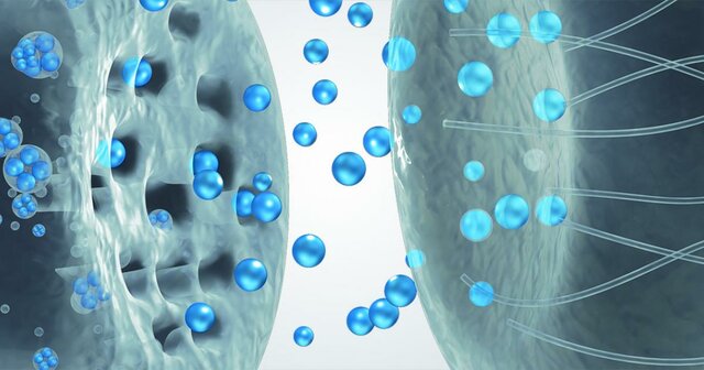 BERNARD KATZ (1970). Biofisico alemán