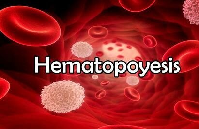 Efectos Biológicos de la Radiación