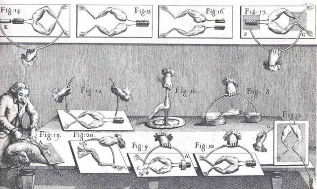 INICIO DE LA ERA MODERNA SIGLO XVIII