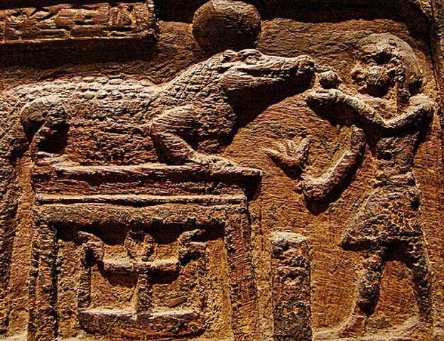 "El Papiro de Petri"