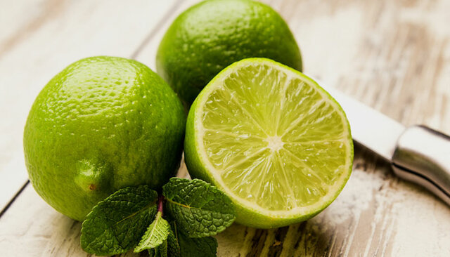 Primera idea del diafragma