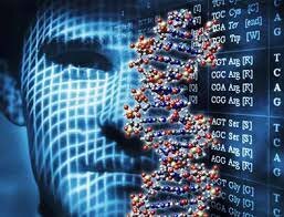 Publicación de Base de Datos