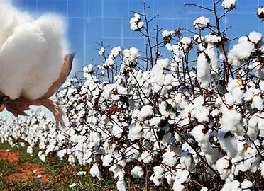 Aplicaciones desde 1895 hasta nuestros días de la radiación ionizante