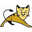 Tomcat