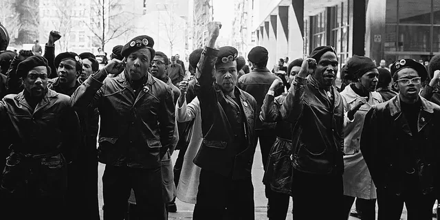 Black Panther Party Dismantles