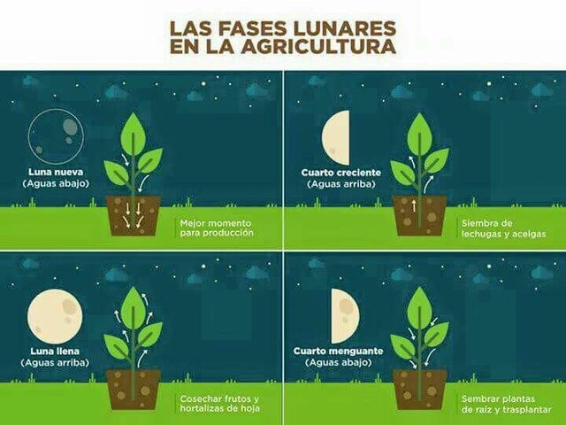 La teoría cósmica o sideral