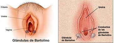 Caspar Bartholin Berthelsen