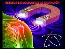 Efectos biológicos de la radiación