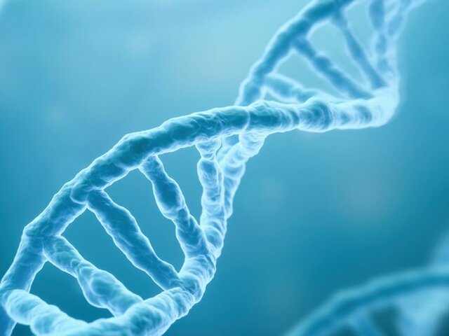 Descubrimiento Molecular