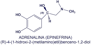 ULF VON EULER 1905 - 1983