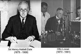 HENRY HALLET Y OTTO LOEWI