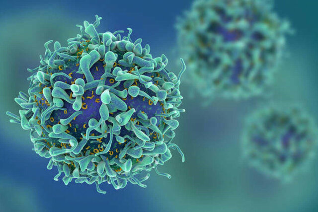 Otras nociones de causa