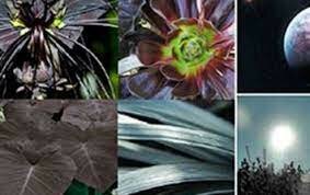 LA TEORÍA CÓSMICA O SIDERAL