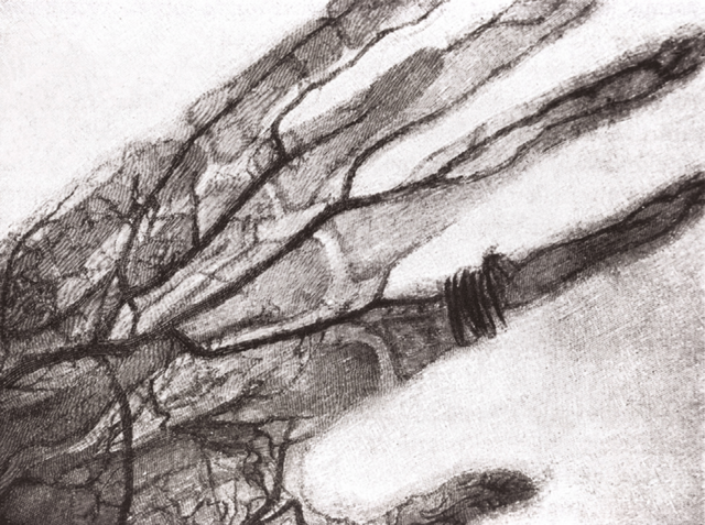 •	Aplicaciones desde 1895 hasta nuestros días de la radiación ionizante en diagnóstico