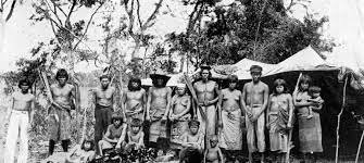 Estudios antropológicos