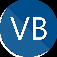 Visual Basic