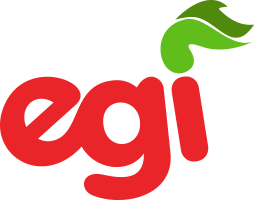 Nace el Euzko gaztedi indarra (EGI)