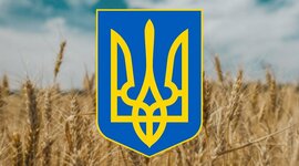 Timeline: Портфоліо