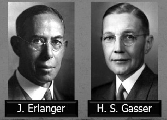 JOSEPH ERLANGER Y HERBERT SPENCER GASSER