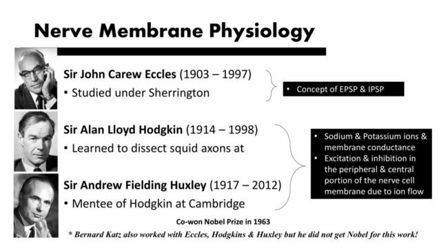 JOHN CARE ECCLES, ALAN LLOYD HODGKIN, ANDREW FIELDING HUXLEY