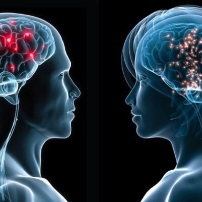Timeline: Historia de la neurociencia de la conducta