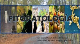 Timeline: Línea del tiempo referente a articulo " historia de los conceptos de causa y enfermedad; paralelismo entre la medicina y fitopatología"