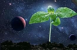 Teoría Cósmica o Sideral