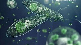 Timeline: EL ORIGEN DE LAS ENFERMEDADES