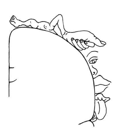 Descubrimiento de la corteza sensorial - David Ferrier