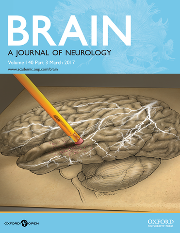 Fundación revista Brain