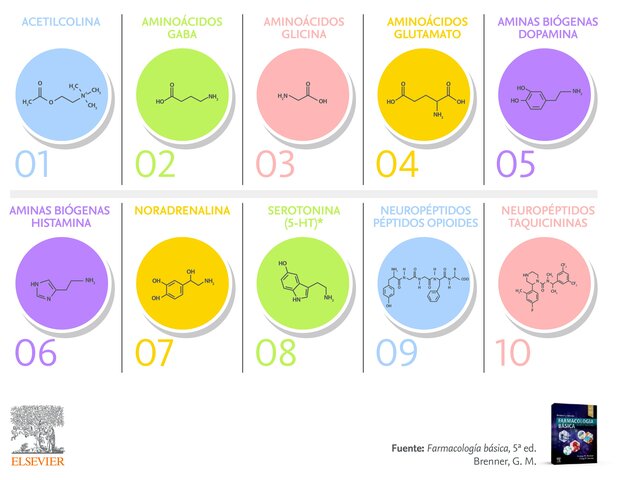 Descubrimiento primeros neurotransmisores - Henry Dale y Otto Loewi