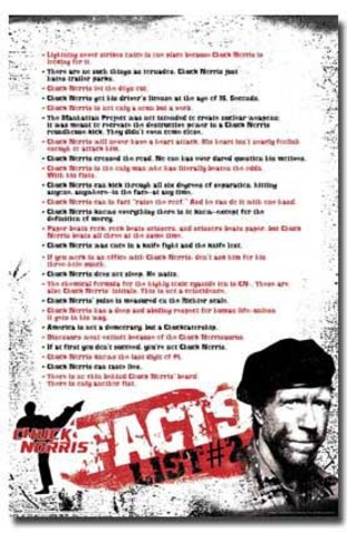 Chuck Norris Facts Begin