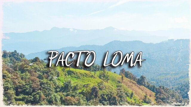 Pacto Loma