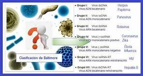 TAXONOMÍA DE LAS ENFERMEDADES