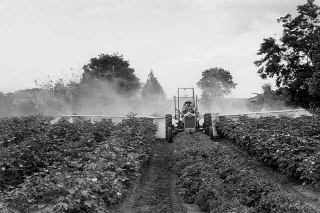 Nasce a segunda grande inovação da Jacto: a Jacto Haramoto