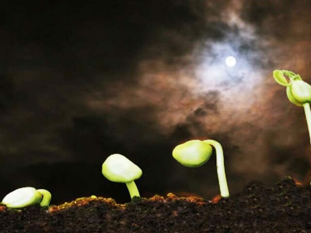 Relación entre la etiologia y la astrologia