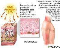 1951 Comité Internacional de Protección Radiológica